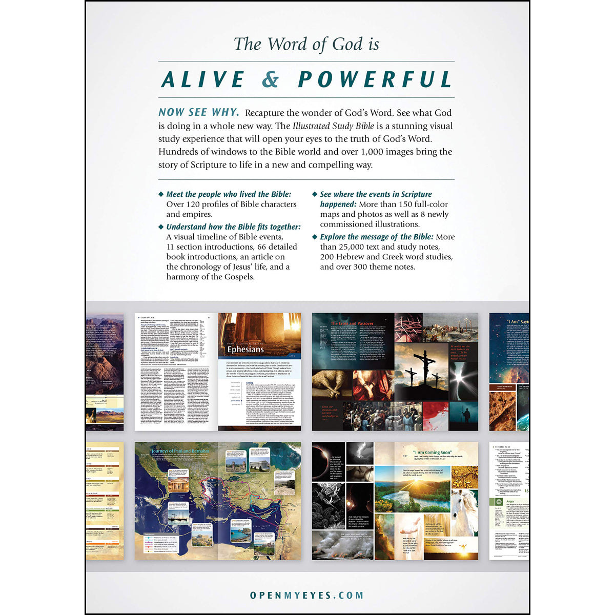 NLT Illustrated Study Bible (Hardcover) image 1
