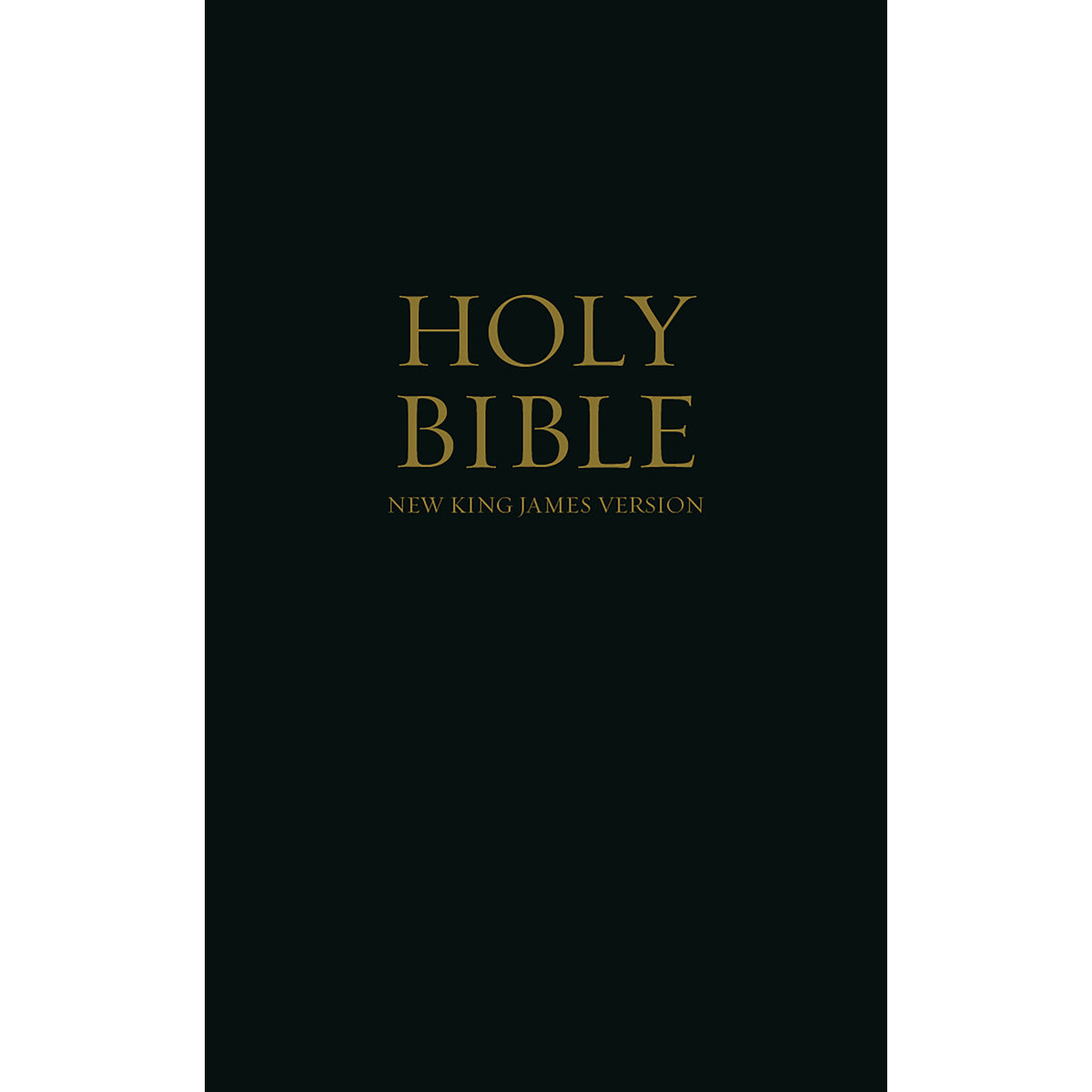 NLT Standard Black Hardcover Bible image 0