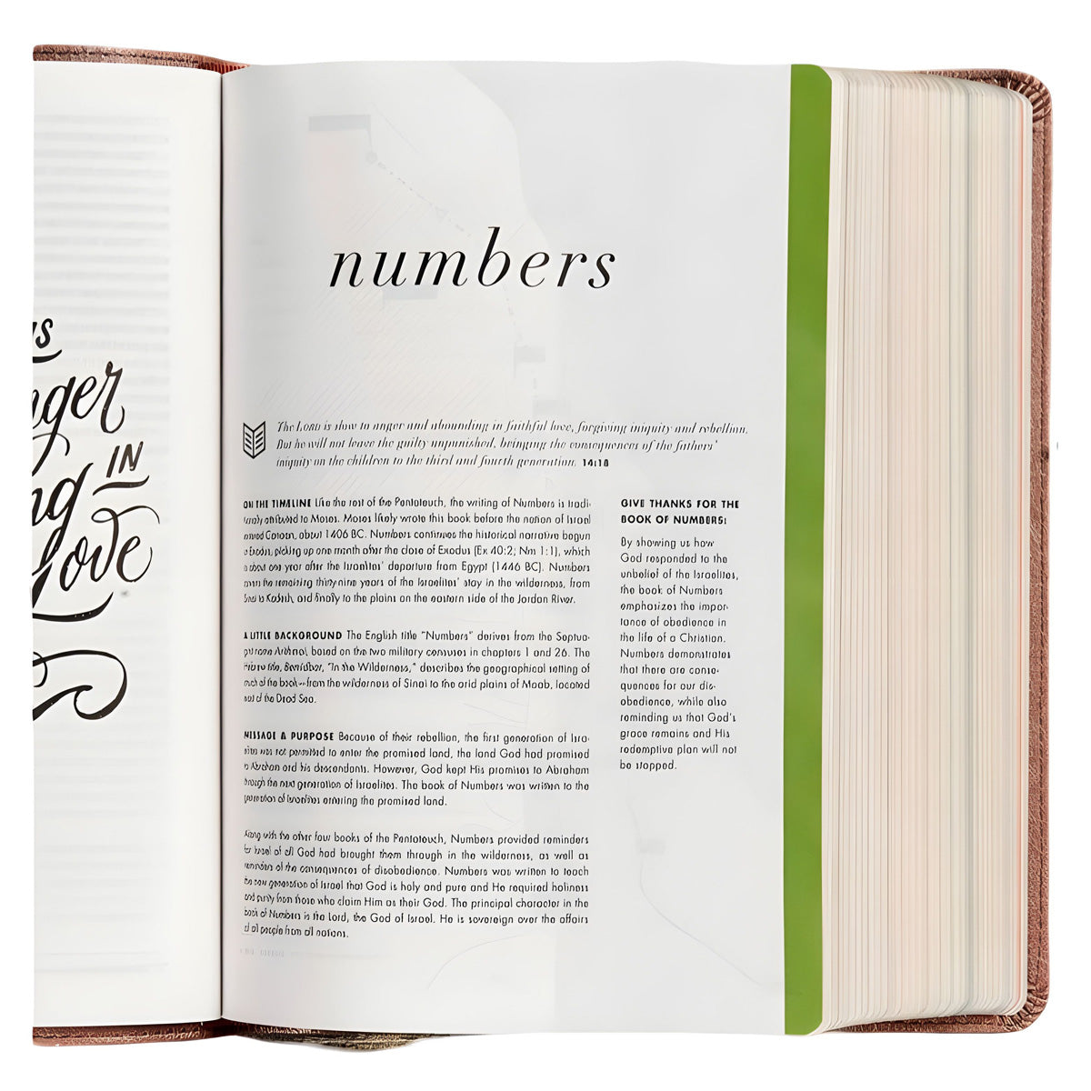 CSB Rose Gold Imitation Leather She Reads Truth Bible image 4