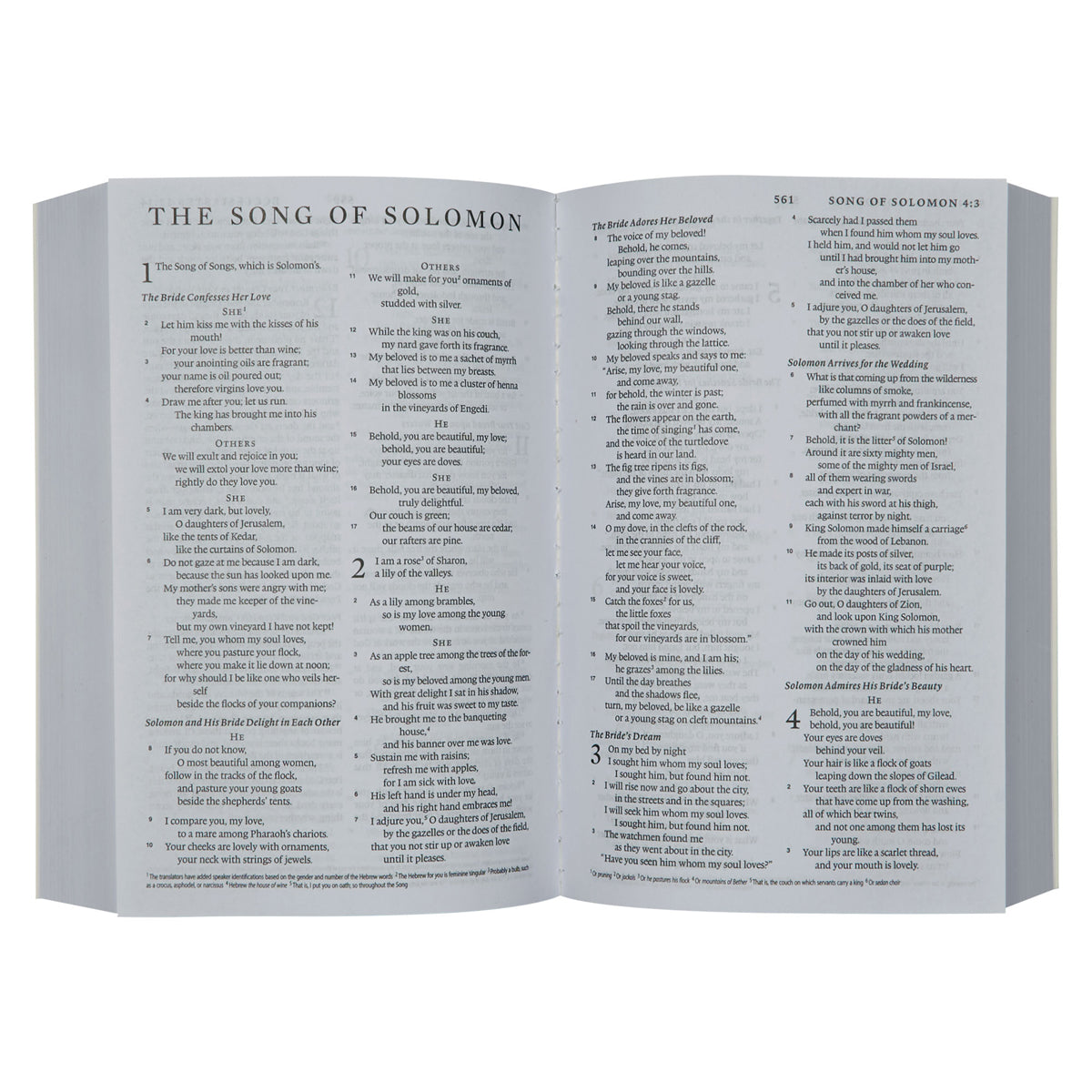 ESV Turquoise Compact Bible Paperback image 3