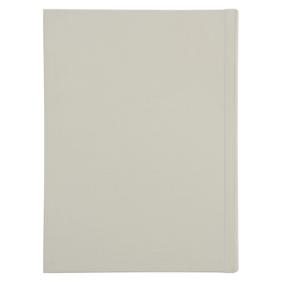 CSB She Reads Truth Bible Beige (Hardcover) image 2