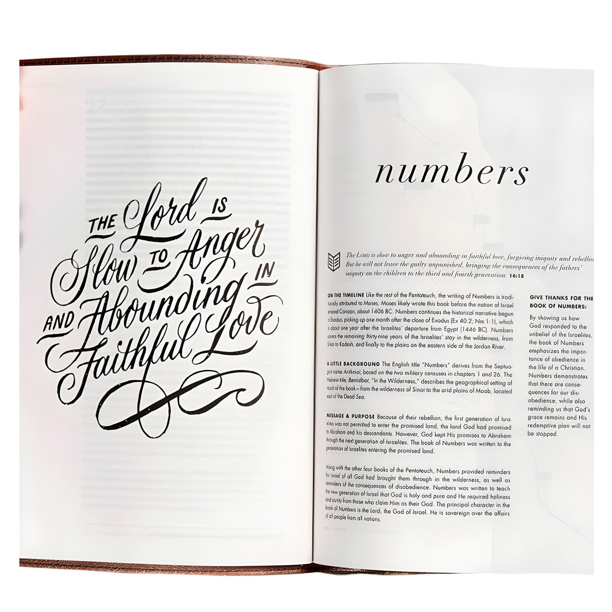 CSB Rose Gold Imitation Leather She Reads Truth Bible image 3
