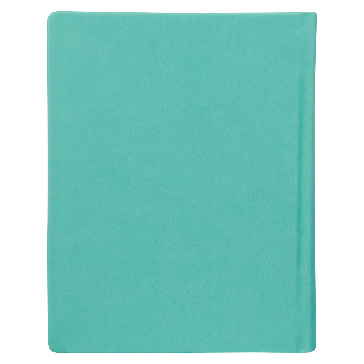 ESV Turquoise Faux Leather Hardcover My Creative Bible For Girls image 1