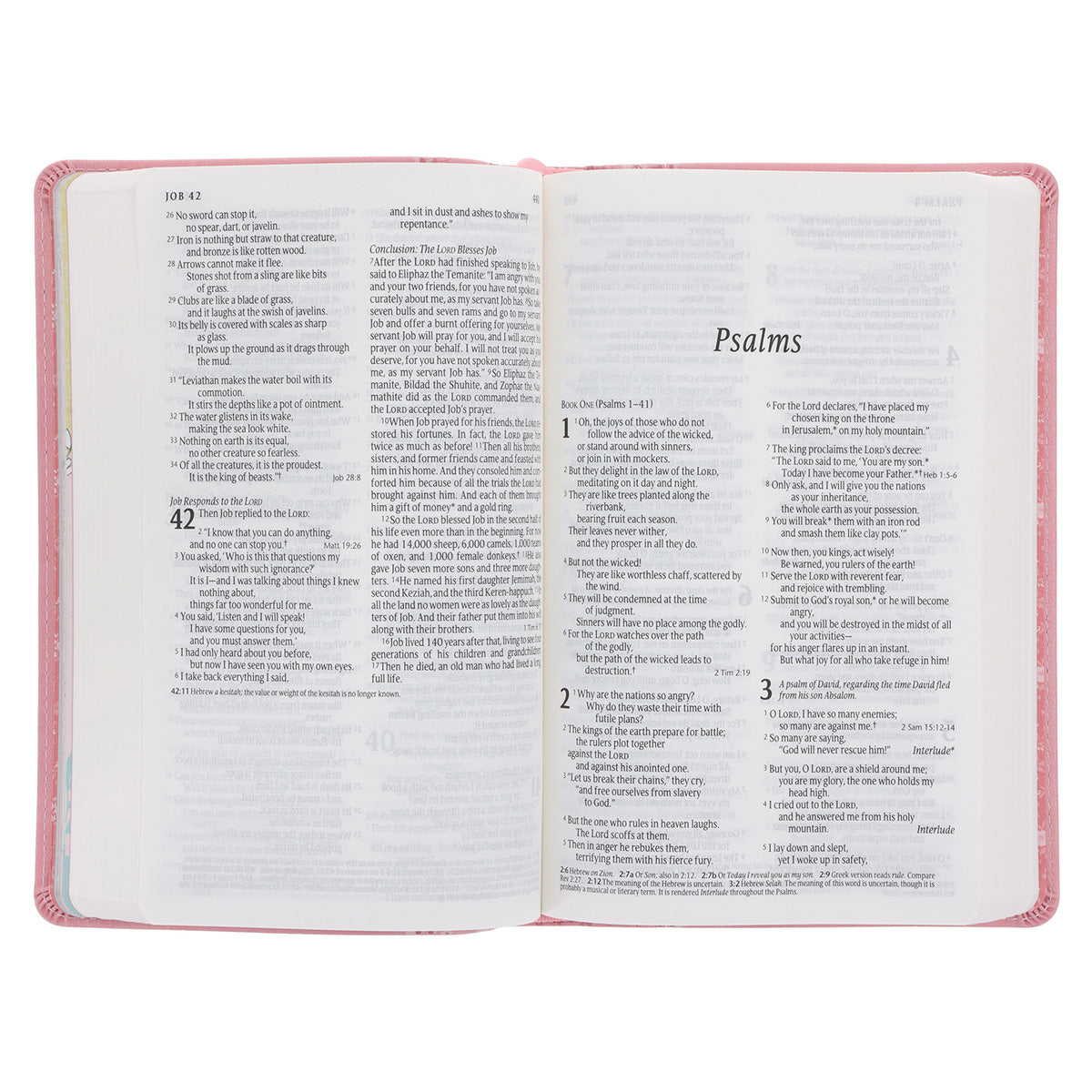 NLT Pink Deer Flexcover Faux Leather Baby Bible for Girls image 5