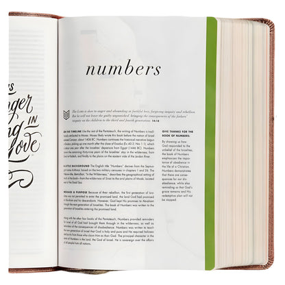 CSB Rose Gold Imitation Leather She Reads Truth Bible image 4