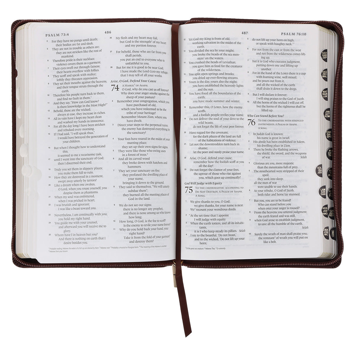 ESV Dark Brown Faux Leather Standard Bible Thumb Indexed With Zip image 4