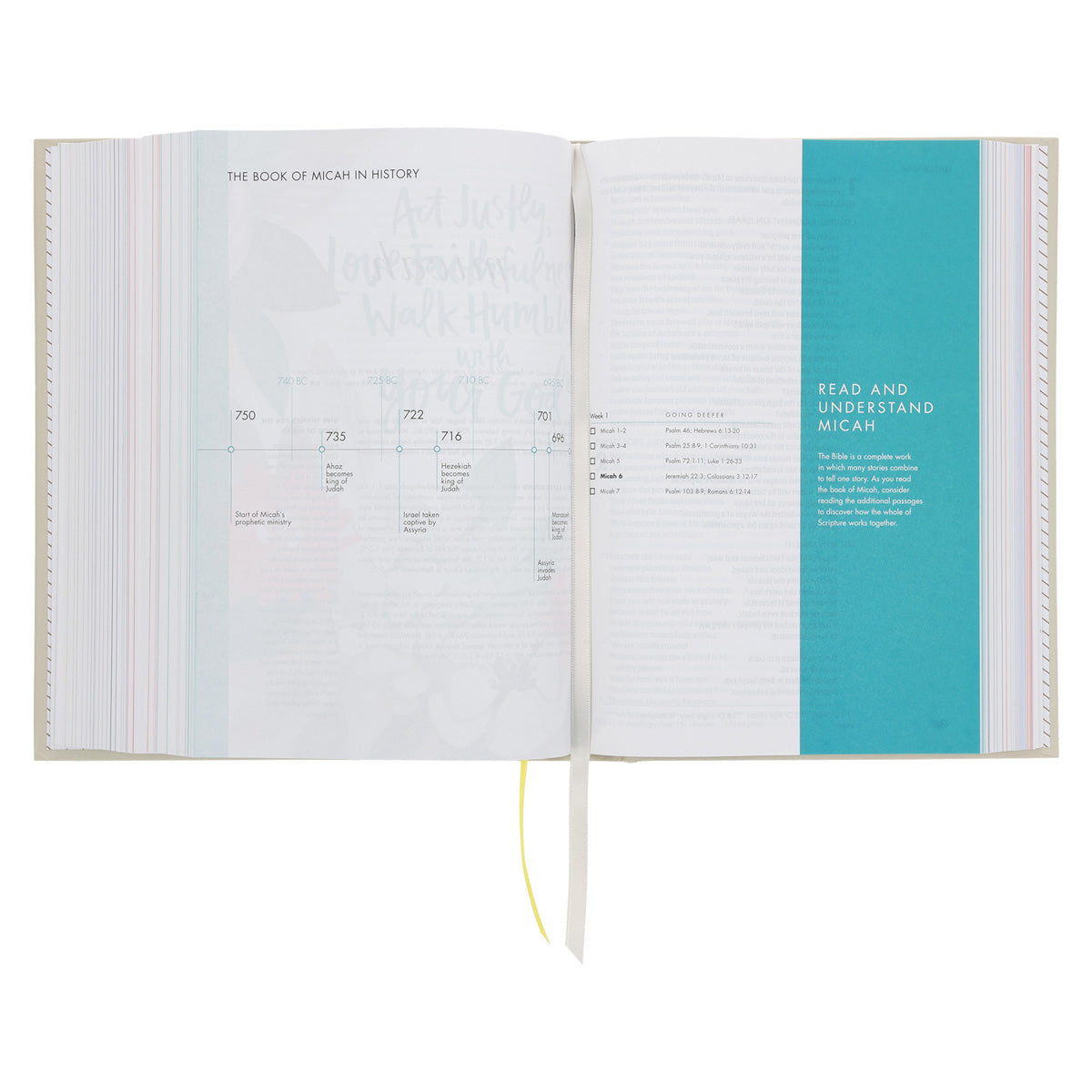 CSB She Reads Truth Bible Beige (Hardcover) image 5