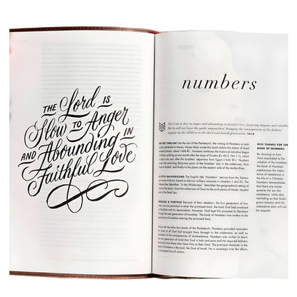 CSB Rose Gold Imitation Leather She Reads Truth Bible image 3