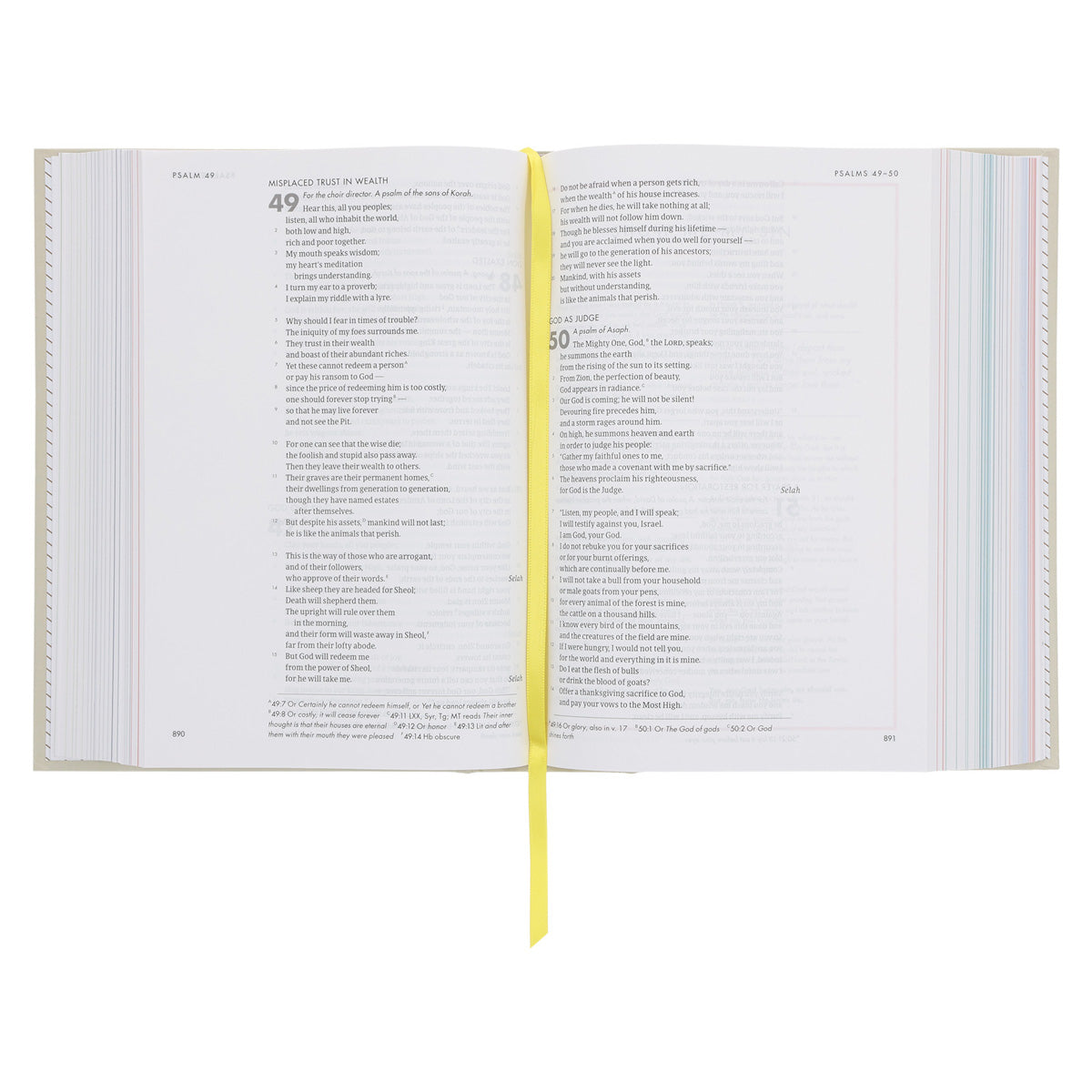 CSB She Reads Truth Bible Beige (Hardcover) image 6