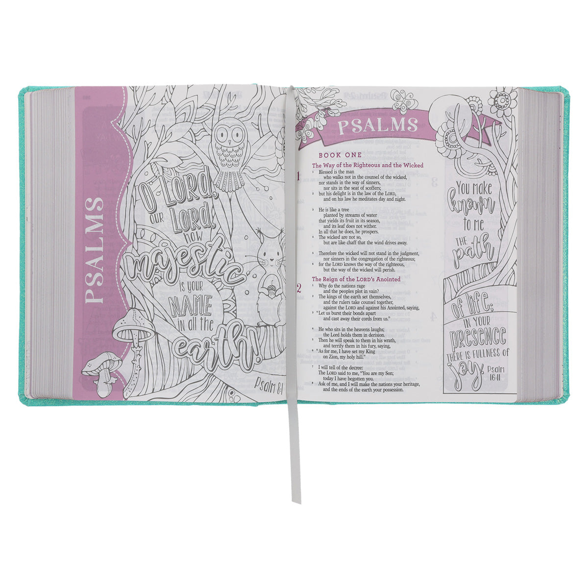 ESV Teal Glitter Hardcover My Creative Bible for Girls image 4