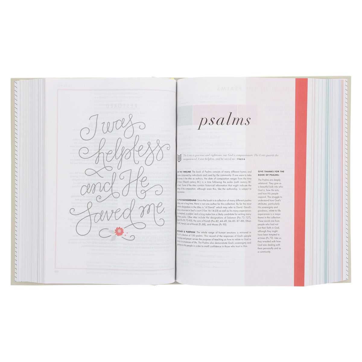 CSB She Reads Truth Bible Beige (Hardcover) image 4