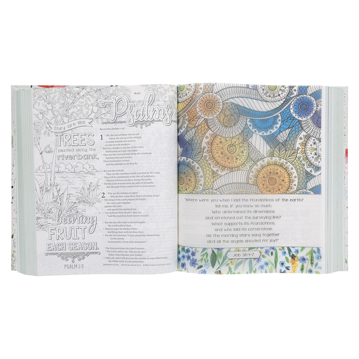NLT Wildflower Meadow Hardcover Inspire Faith Filament-Enabled Bible Large Print image 4