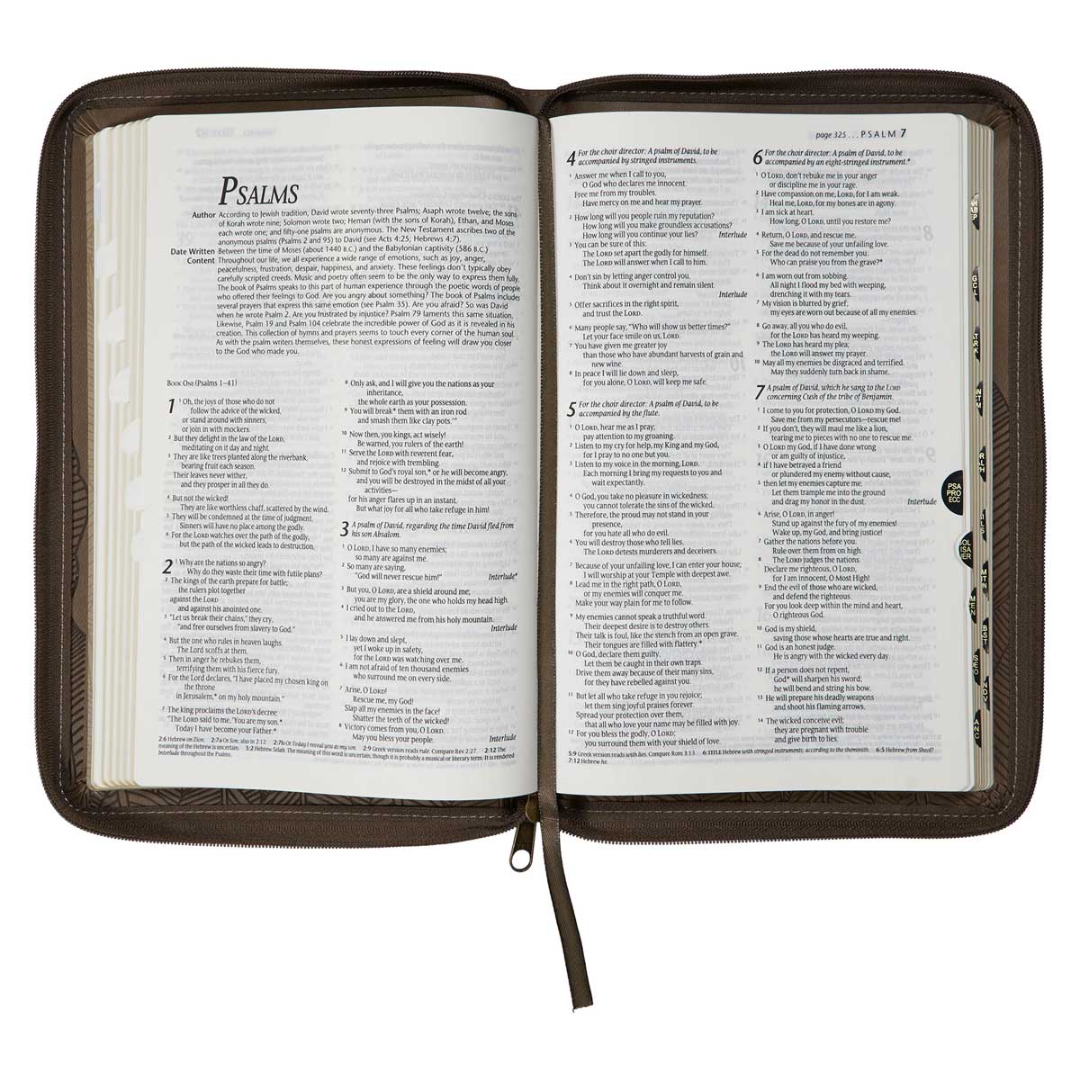 NLT Brown Leaves Faux Leather Flexcover Standard Bible Thumb Indexed With Zip image 5