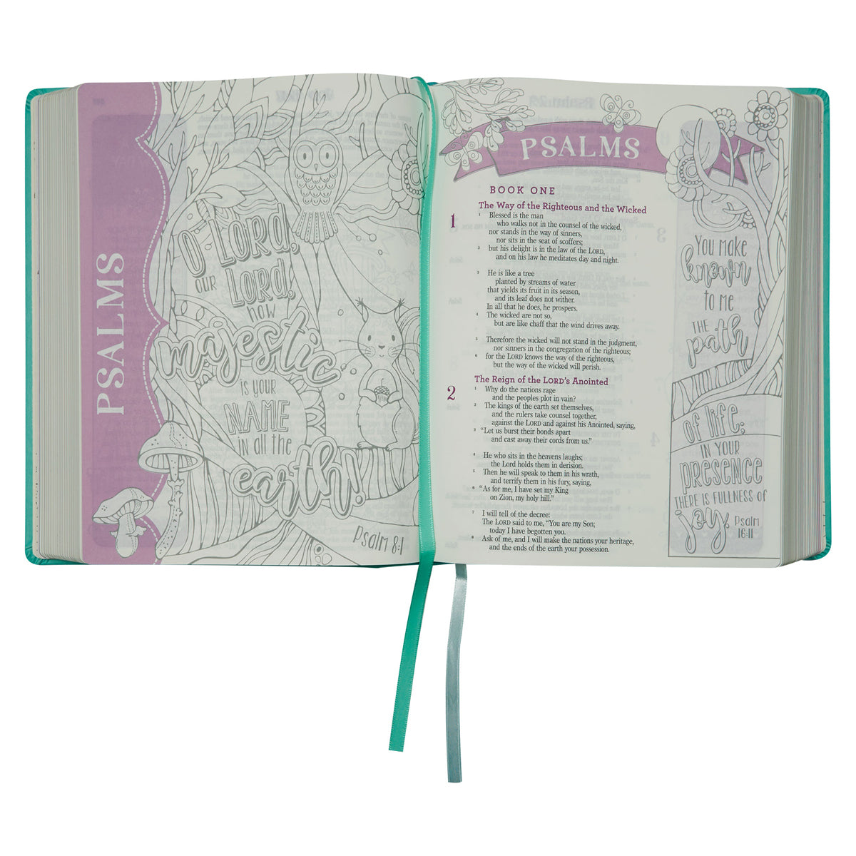 ESV Turquoise Faux Leather Hardcover My Creative Bible For Girls image 6